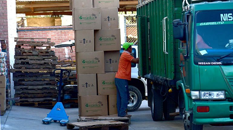 Cajas de Orgánica cargadas a un camión de distribución